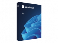 Windows 11 Pro (Mark)